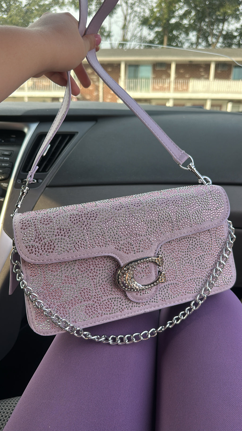 Purple Crystal Tabby
