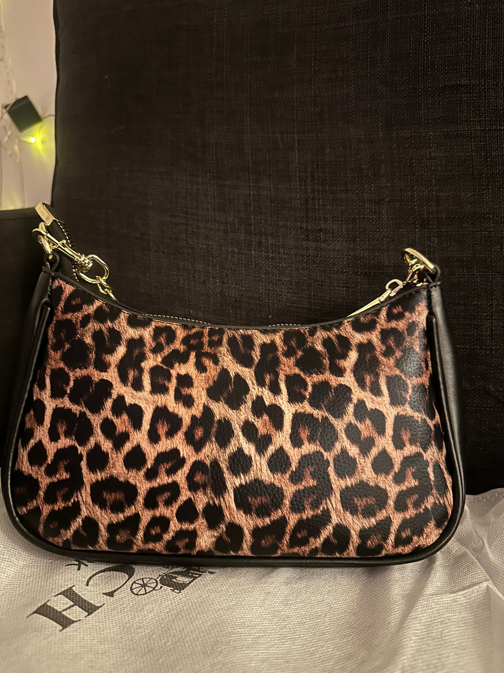 Cheetah Teri