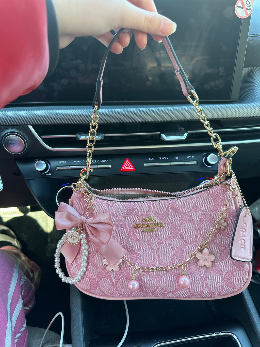 Pink Teri
