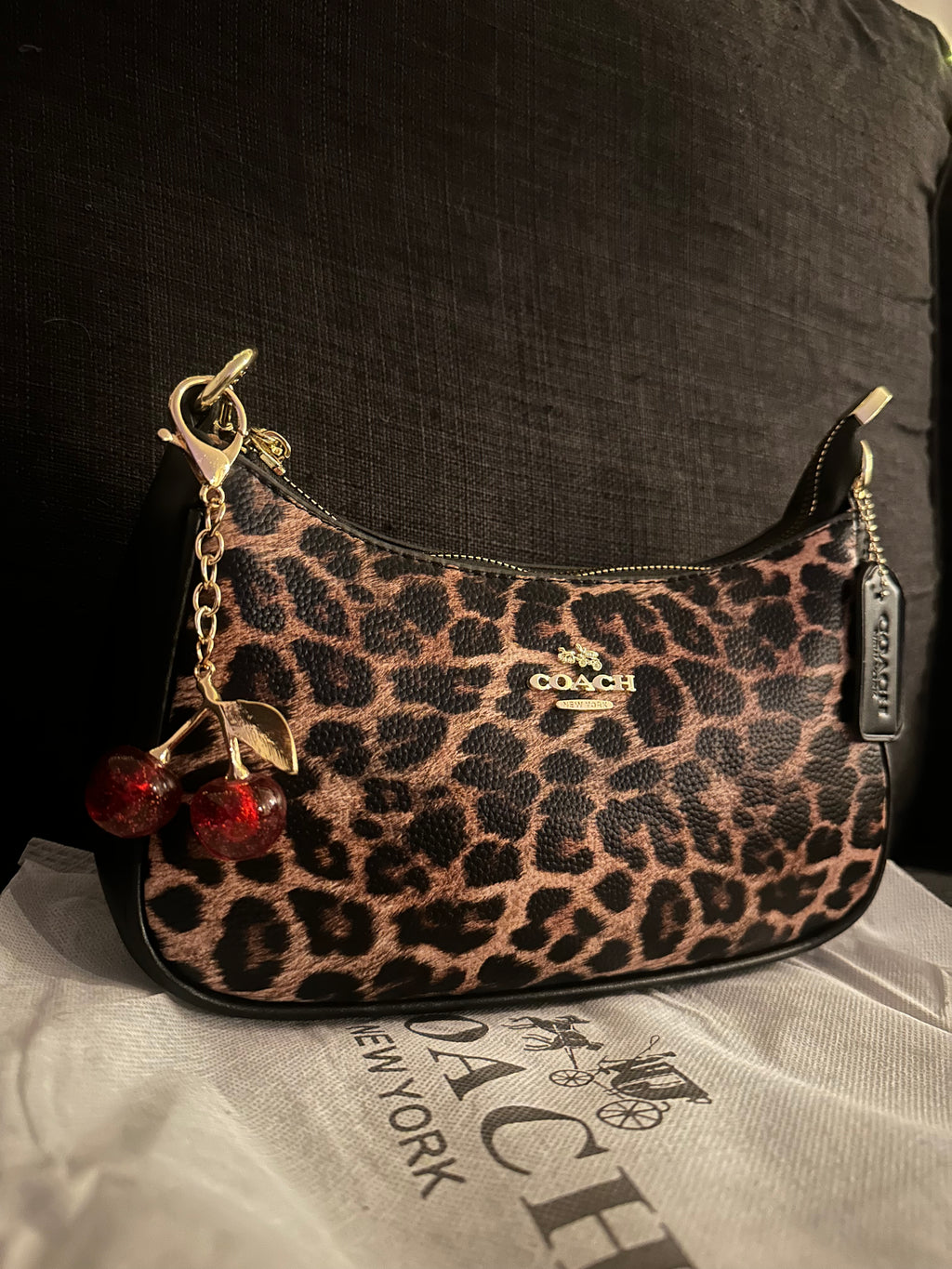 Cheetah Teri