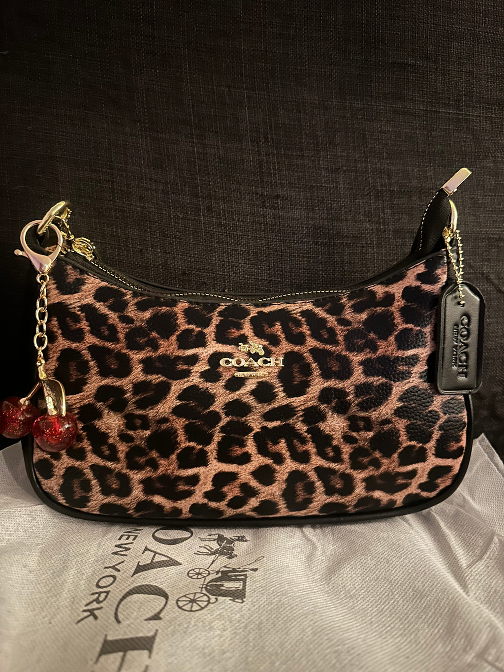 Cheetah Teri