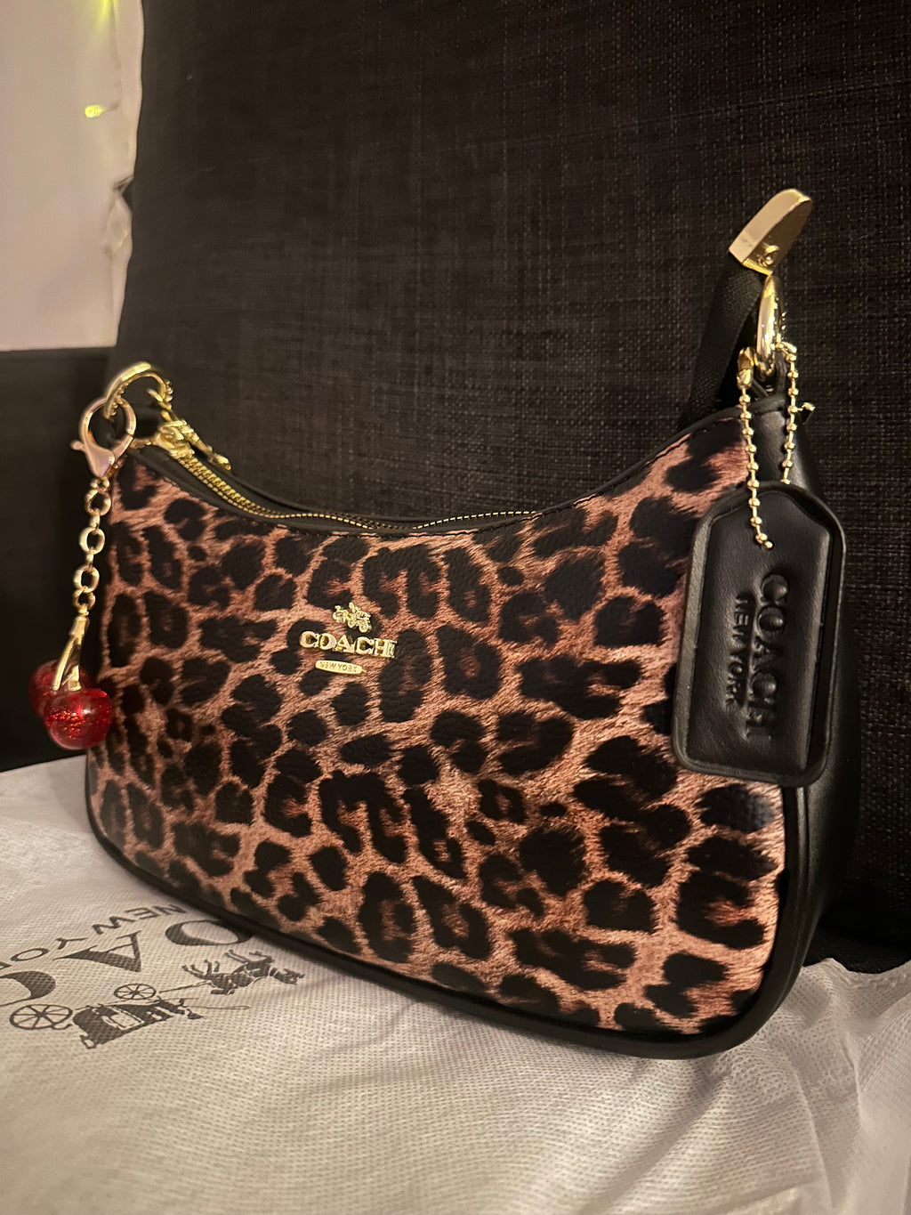 Cheetah Teri
