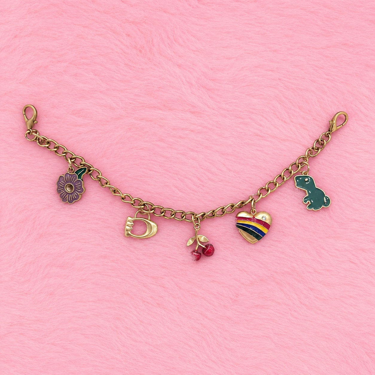 Coach Chain
