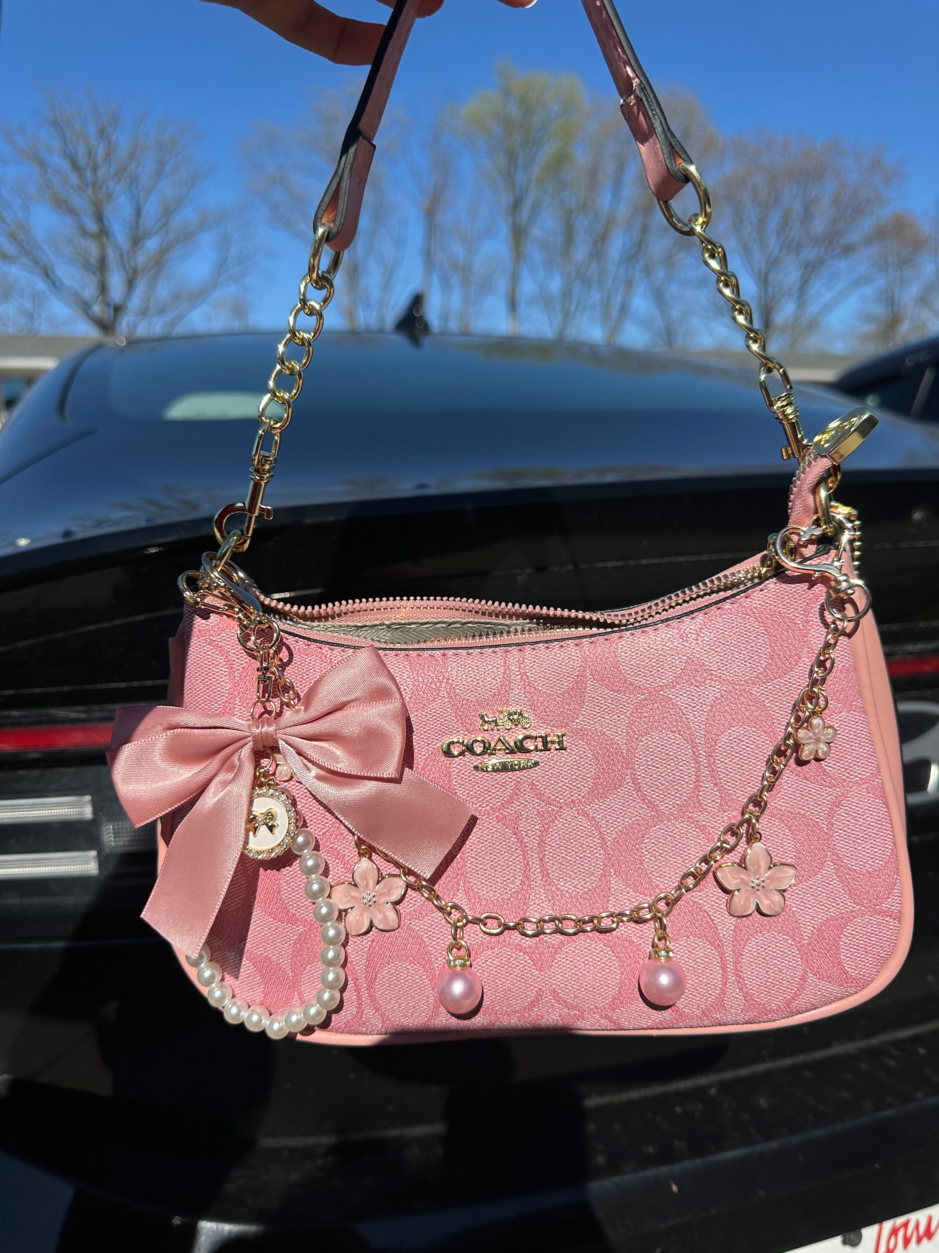 Pink Teri